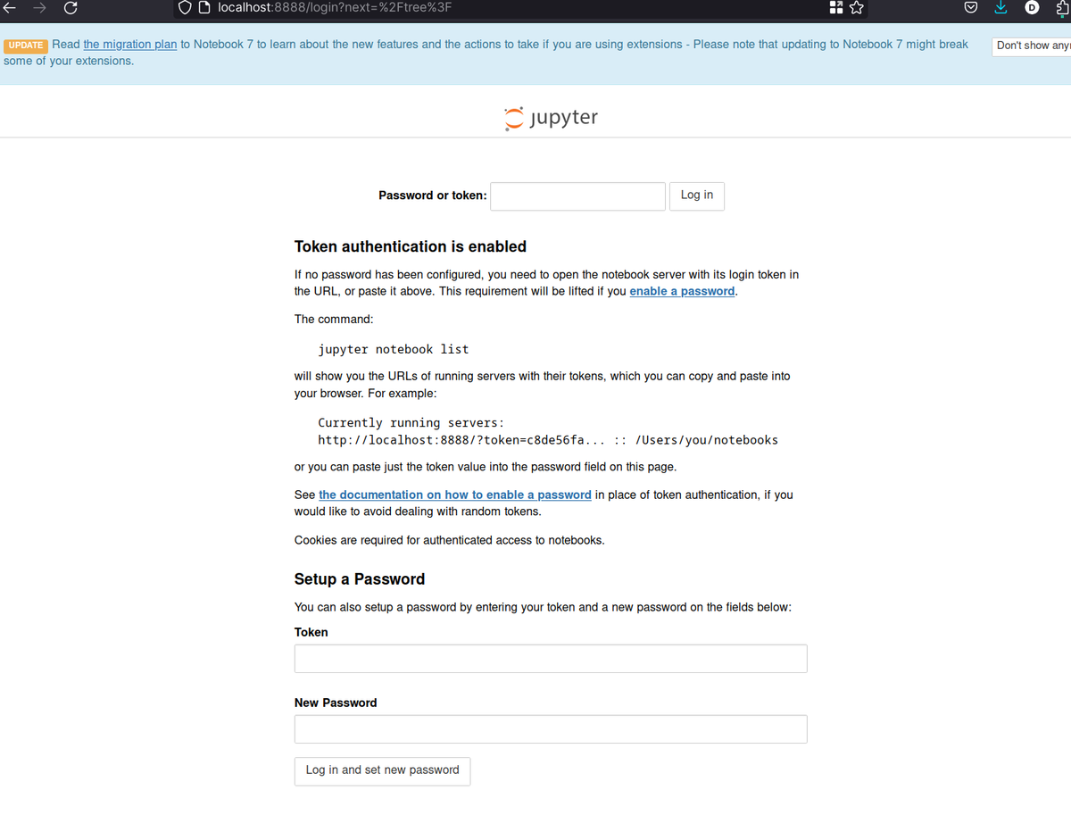 Jupyter notebook service